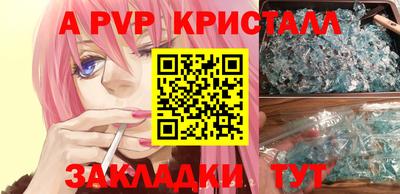 стаф Кимры