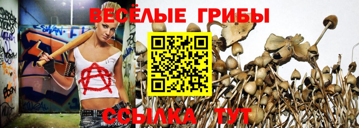 Краснознаменск  Псилоцибиновые грибы мицелий  Вход с VPN 